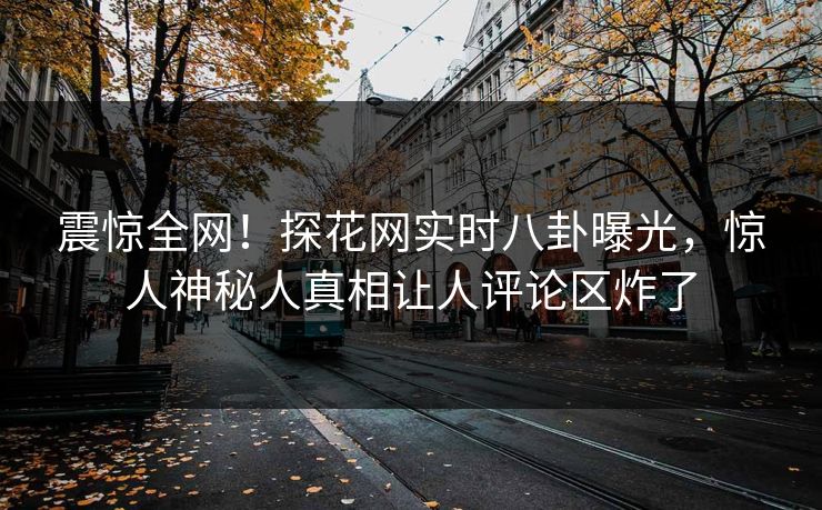 震惊全网！探花网实时八卦曝光，惊人神秘人真相让人评论区炸了