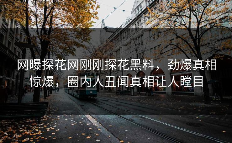 网曝探花网刚刚探花黑料，劲爆真相惊爆，圈内人丑闻真相让人瞠目  第1张