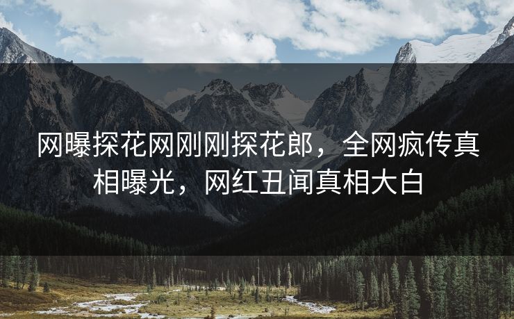 网曝探花网刚刚探花郎，全网疯传真相曝光，网红丑闻真相大白  第1张