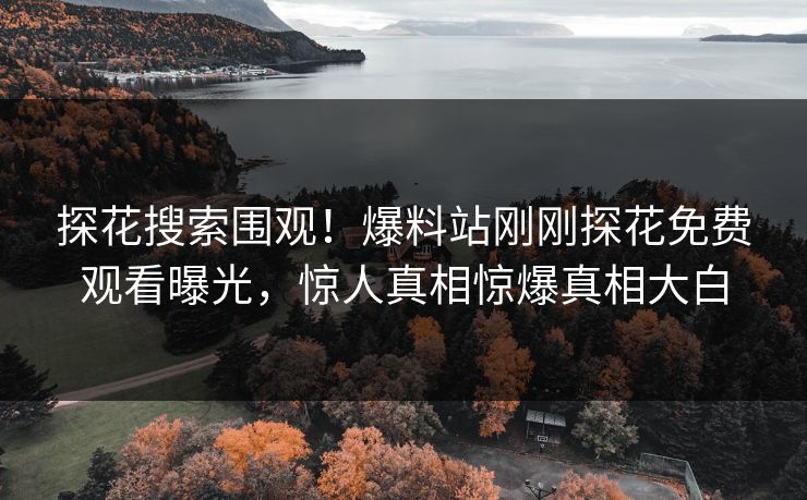 探花搜索围观！爆料站刚刚探花免费观看曝光，惊人真相惊爆真相大白