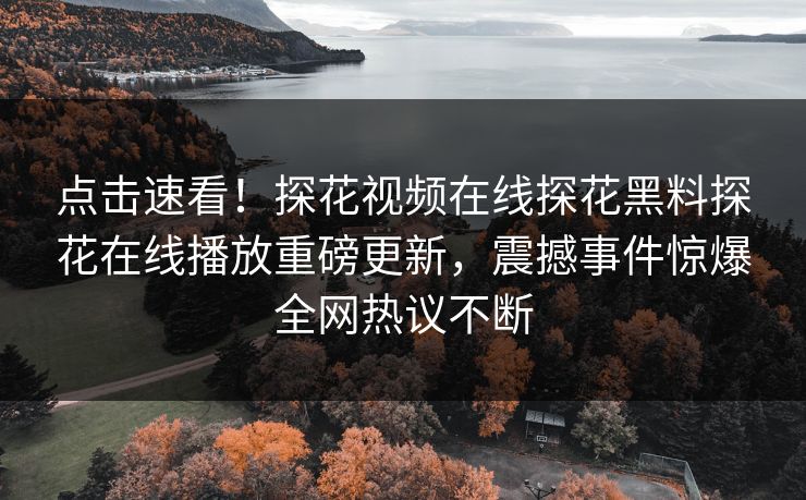 点击速看！探花视频在线探花黑料探花在线播放重磅更新，震撼事件惊爆全网热议不断
