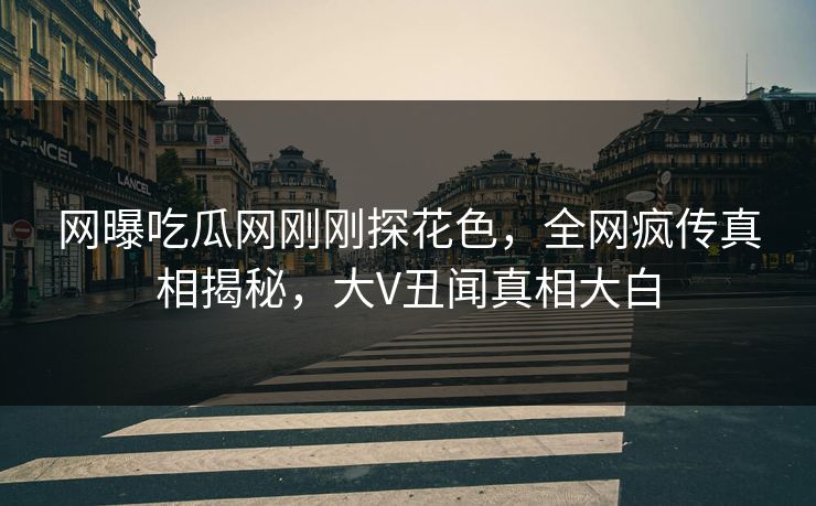 网曝吃瓜网刚刚探花色，全网疯传真相揭秘，大V丑闻真相大白  第1张