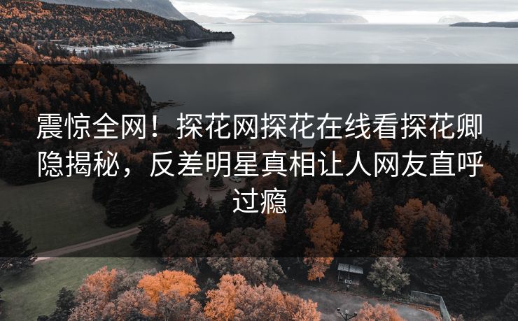 震惊全网！探花网探花在线看探花卿隐揭秘，反差明星真相让人网友直呼过瘾