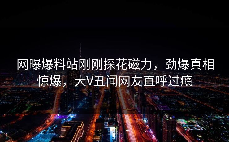网曝爆料站刚刚探花磁力，劲爆真相惊爆，大V丑闻网友直呼过瘾