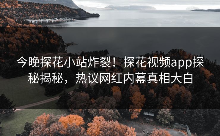 今晚探花小站炸裂！探花视频app探秘揭秘，热议网红内幕真相大白