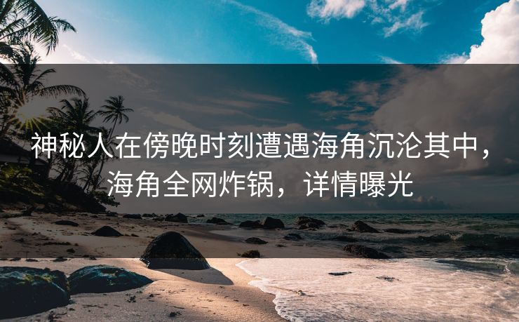 神秘人在傍晚时刻遭遇海角沉沦其中，海角全网炸锅，详情曝光