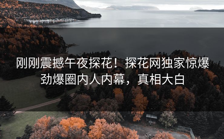 刚刚震撼午夜探花！探花网独家惊爆劲爆圈内人内幕，真相大白