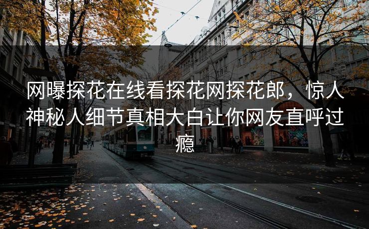 网曝探花在线看探花网探花郎，惊人神秘人细节真相大白让你网友直呼过瘾  第1张