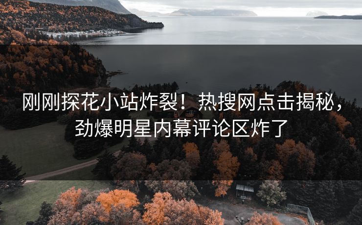 刚刚探花小站炸裂！热搜网点击揭秘，劲爆明星内幕评论区炸了  第1张