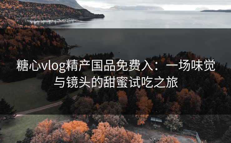 糖心vlog精产国品免费入：一场味觉与镜头的甜蜜试吃之旅