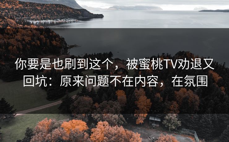 你要是也刷到这个，被蜜桃TV劝退又回坑：原来问题不在内容，在氛围